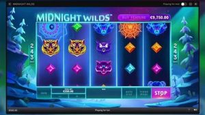 Midnight Wilds Slot Review (High Volatility RTP 95%) Playtech